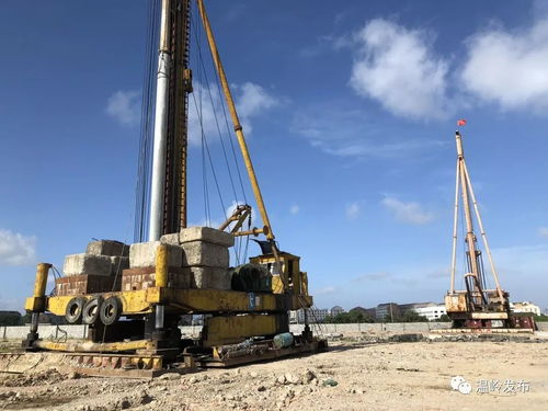 溫嶺創新工業用地“先租后讓”模式獲全省推廣，助力企業高效發展